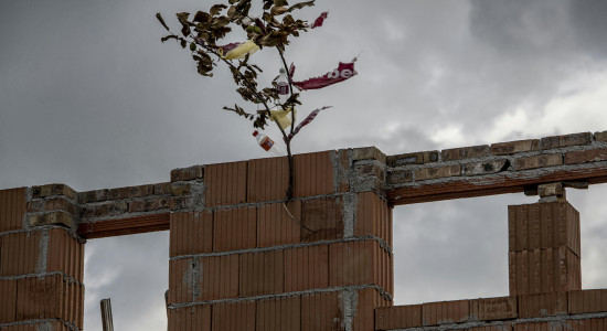 Thumbnail for 6966429