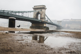 Thumbnail for 6966489