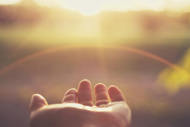 Thumbnail for 6966601