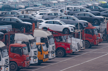 Thumbnail for 6966625