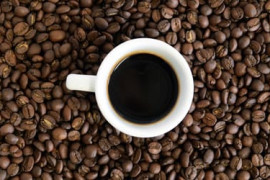 Thumbnail for 6966636