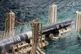 Thumbnail for 6967077