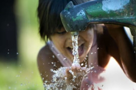 Thumbnail for 6967455