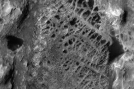 Thumbnail for 6967597