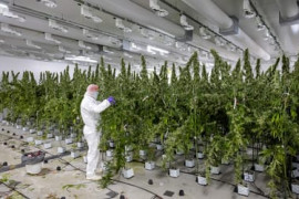 Thumbnail for 6967667