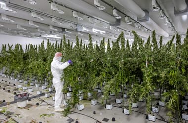 Thumbnail for 6967667