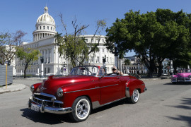 Thumbnail for 6968583