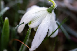 Thumbnail for 6968671