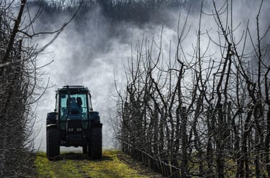 Thumbnail for 6968956