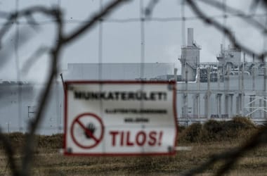 Thumbnail for 6969023