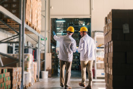 Thumbnail for 6969065