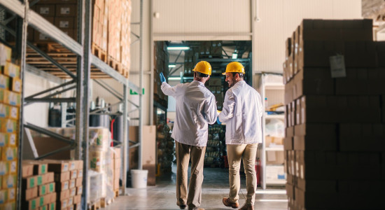 Thumbnail for 6969065