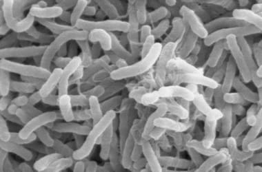 Thumbnail for 6969567