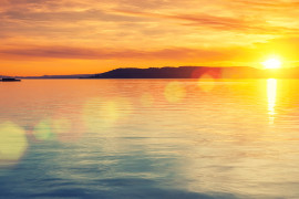 Thumbnail for 6969659