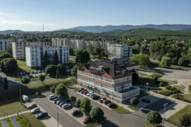 Thumbnail for 6969752