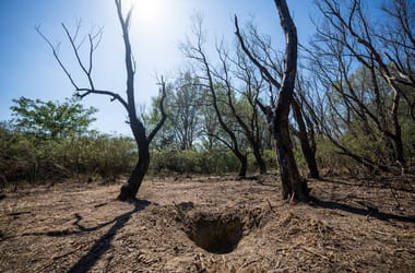 Thumbnail for 6970669