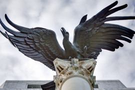 Thumbnail for 6970796