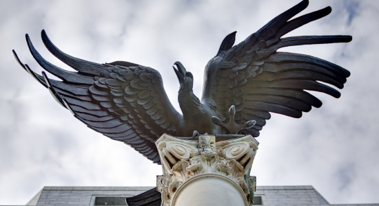 Thumbnail for 6970796