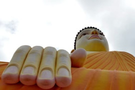 Thumbnail for 6970811