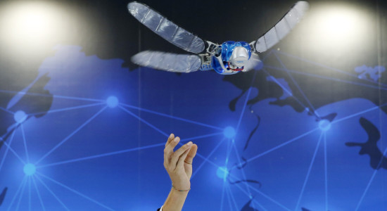 Thumbnail for 6971040