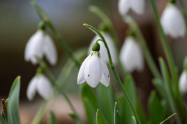 Thumbnail for 6971044