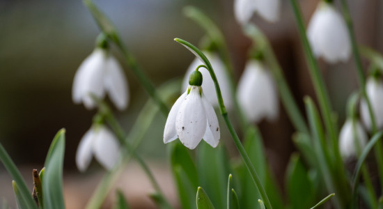 Thumbnail for 6971044