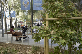 Thumbnail for 6971145