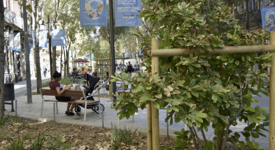 Thumbnail for 6971145