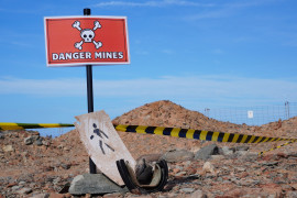 Thumbnail for 6971191