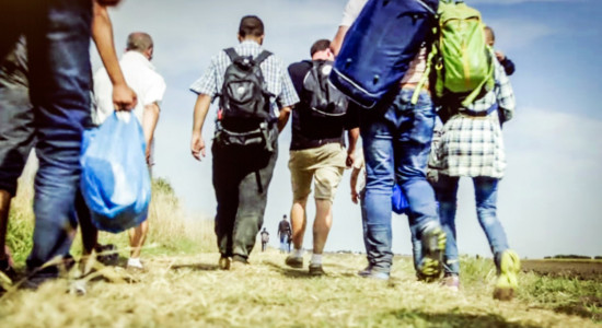 Thumbnail for 6971298