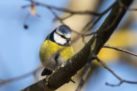 Thumbnail for 6972037