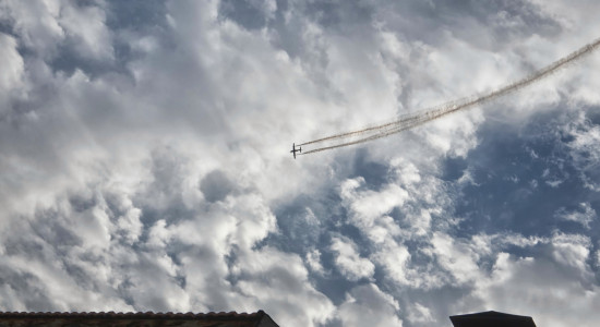 Thumbnail for 6972188