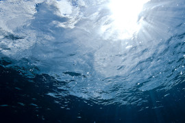 Thumbnail for 6972219