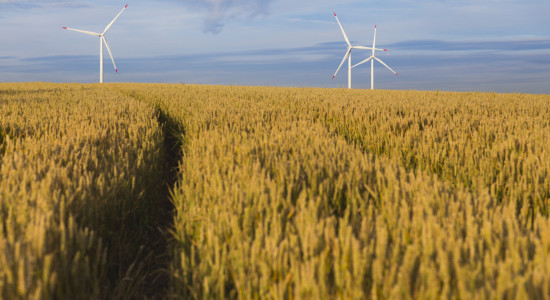 Thumbnail for 6972308