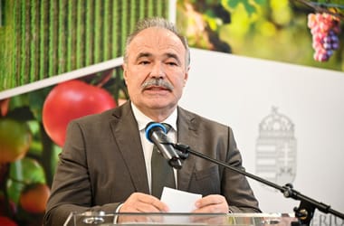 Thumbnail for 6972695