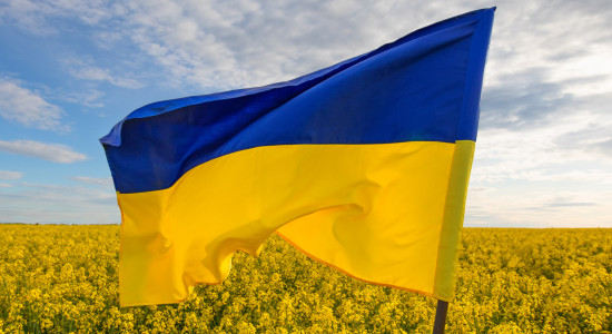 Thumbnail for 6972789