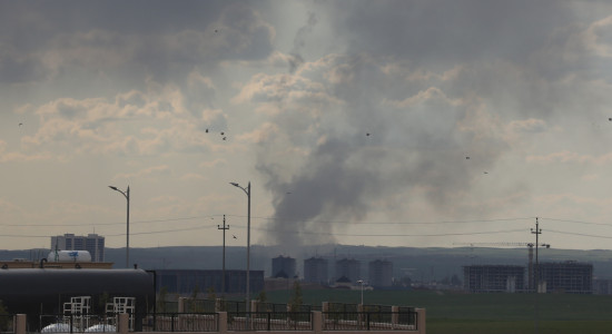 Thumbnail for 6972825