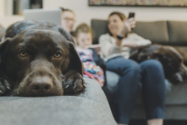 Thumbnail for 6972876