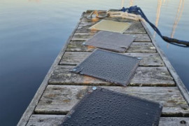 Thumbnail for 6973097