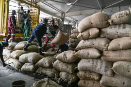 Thumbnail for 6973304