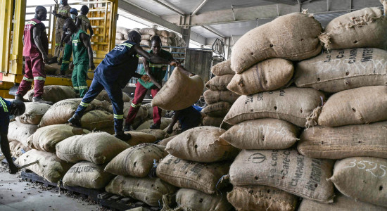 Thumbnail for 6973304