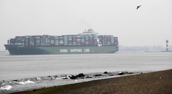 Thumbnail for 6973489