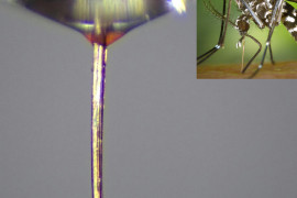 Thumbnail for 6973557