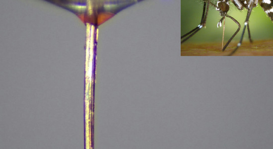 Thumbnail for 6973557