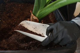 Thumbnail for 6973568