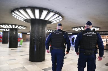 Thumbnail for 6973638