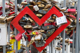 Thumbnail for 6974054