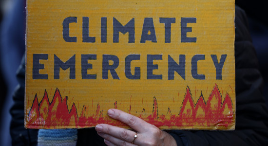 Thumbnail for 6974123