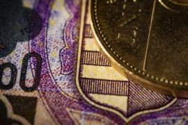 Thumbnail for 6974236