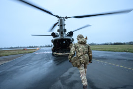 Thumbnail for 6974353